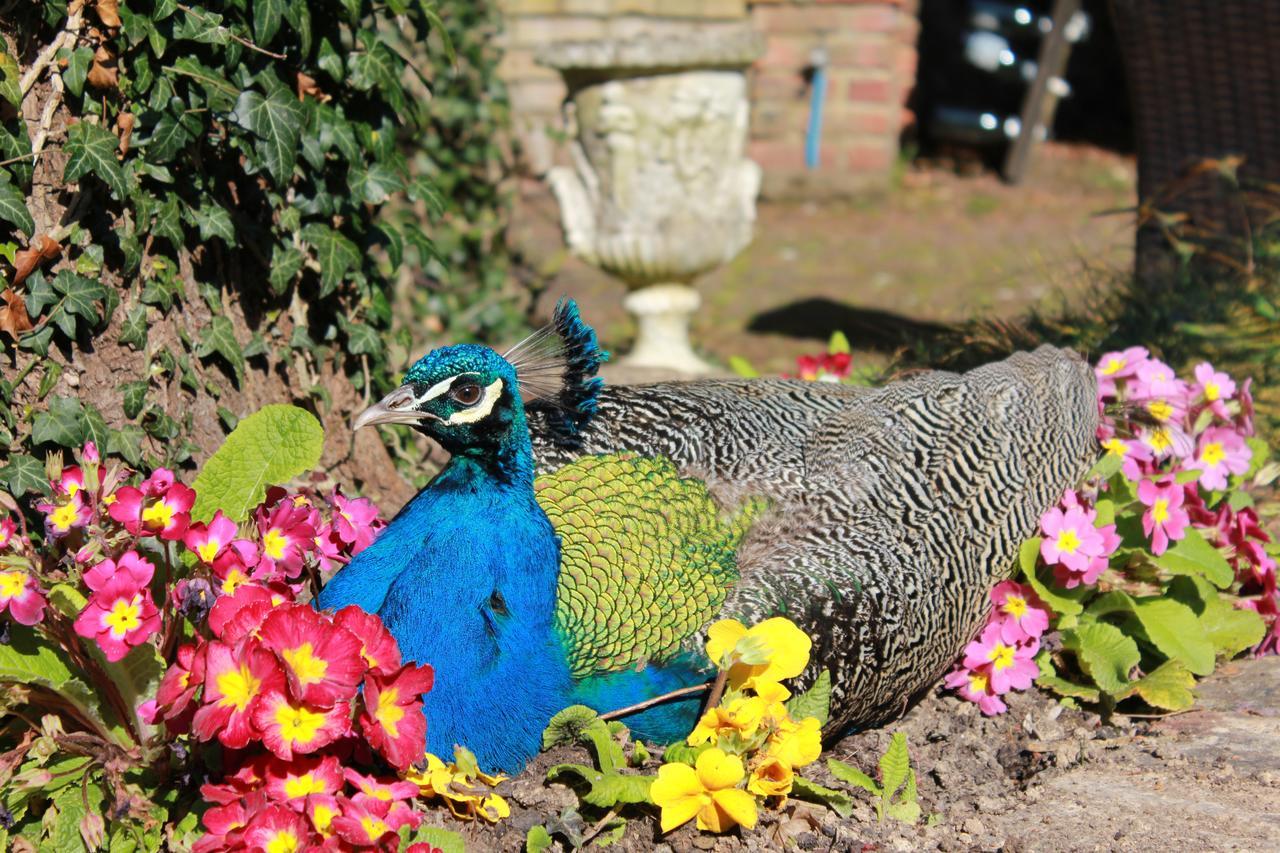Powdermills Country House Hotel Battle Zewnętrze zdjęcie